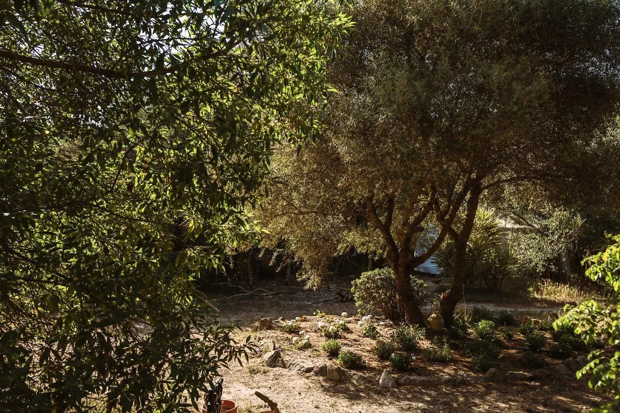 Luxury tent La Veleta Cadiz Hotel